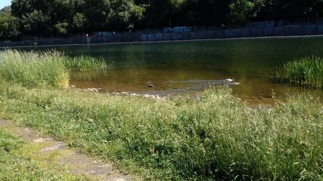 Парк "Радуга" (Москва 2021) / Park "Rainbow" (Moscow 2021) смотреть онлайн