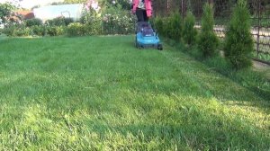 Аккумуляторная газонокосилка Makita DLM382.