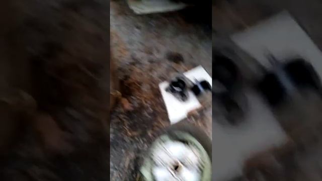 Разбор стартера двигателя 490 Q Toyota, Great wall deer, Safe. смотреть онлайн