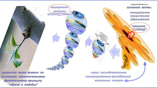 Фрактальная ГеоМетрика Вселенной смотреть онлайн