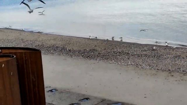 Черноморск - прогулка к морю...