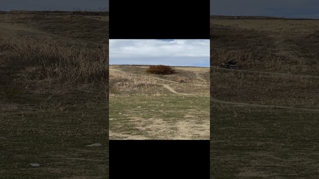 Эндуро смотреть онлайн