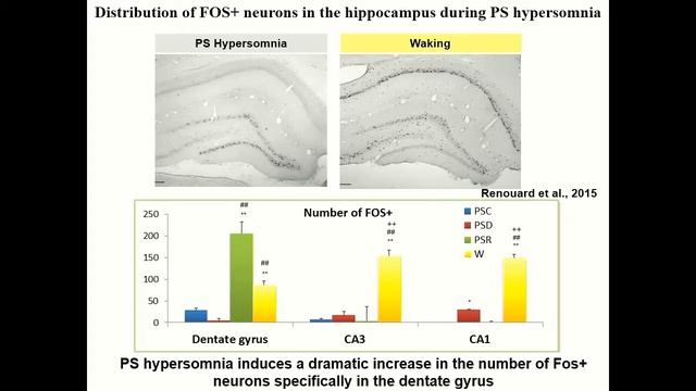 ИНТЕГРАТИВНАЯ НЕВРОЛОГИЯ. НЕЙРОДЕГЕНЕРАЦИЯ И ДЕСИНХРОНОЗ смотреть онлайн