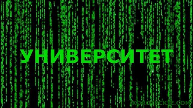 ПСИХООЛУХИ (АВТОРСКОЕ ВИДЕО) смотреть онлайн
