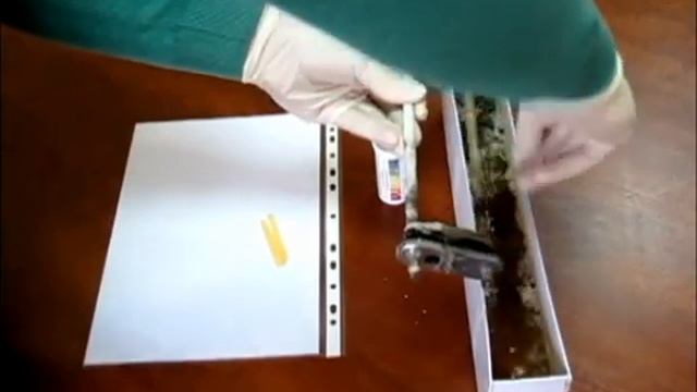 Тен в антиржавине смотреть онлайн