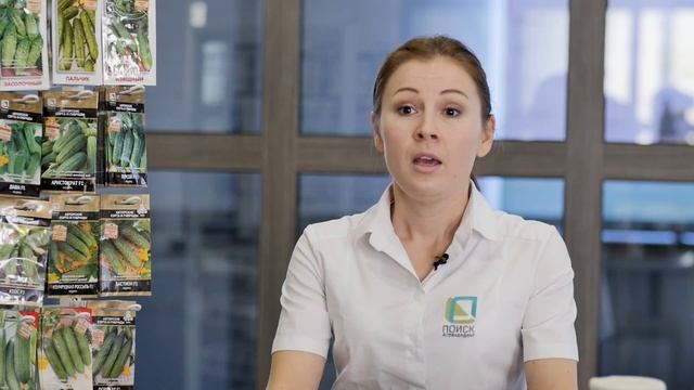 Как правильно выбрать семена огурца? смотреть онлайн