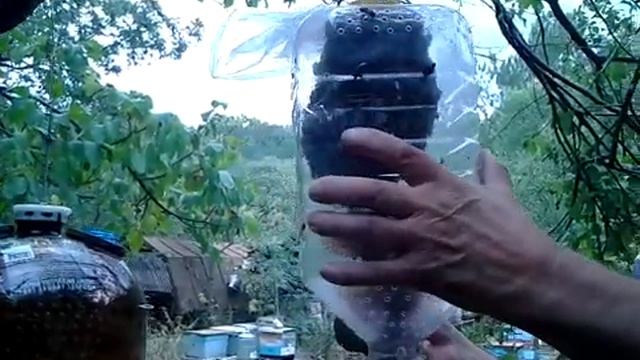Бутылочный Фито Улей для дачного апи домика. смотреть онлайн