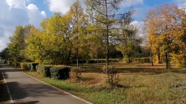 Нагуливаем иммунитет. Продолжаем эксперимент с петуньей. смотреть онлайн
