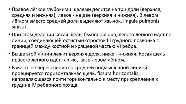 Топографическая анатомия плевры и легких
