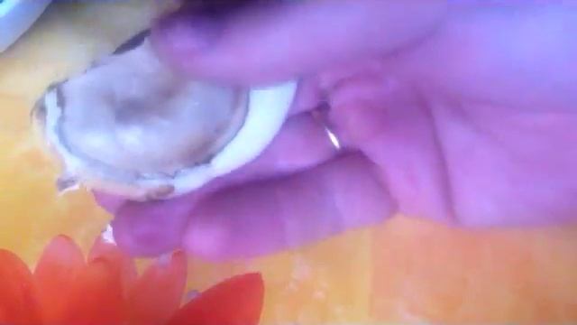 Манго в домашних условиях "Подготовка косточки к посадки. смотреть онлайн