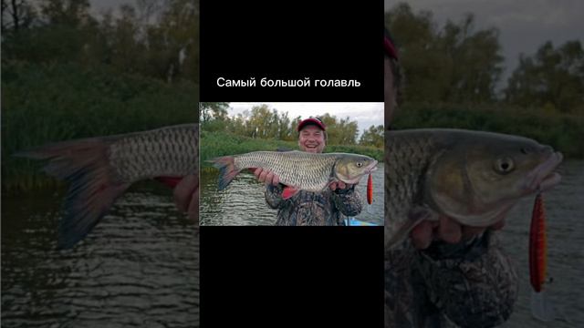 Самая маленькая и самая большая рыба .ч3 напишите в комментариях снимать мне эту рубрику или нет смотреть онлайн