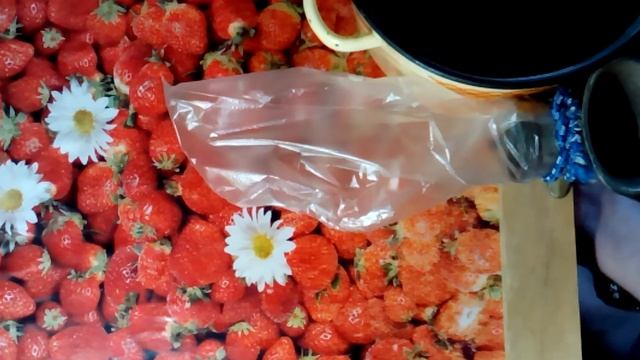 Проще пареной репы смотреть онлайн