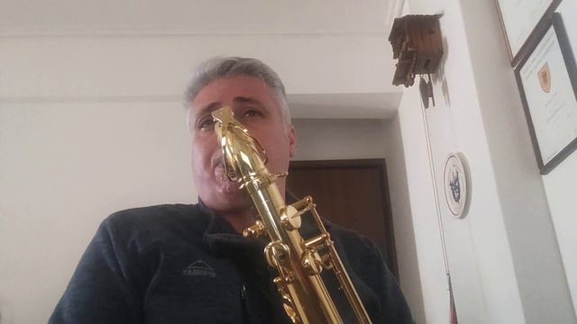 Black Orpheus - Orfeo Negro/ Luis Bonfa-Tenor Sax смотреть онлайн