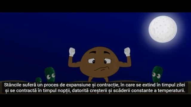 Solul - Resursă a vieții - lecție de geografie - Terra - Elemente de geografie Fizică смотреть онлайн