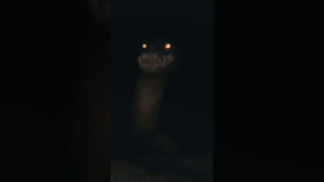 The Bornless: Don't feed the snake смотреть онлайн