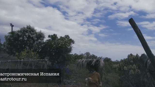 Парк "Mundo aborigen" Гран Канария раскрывает тайны гуанчей смотреть онлайн