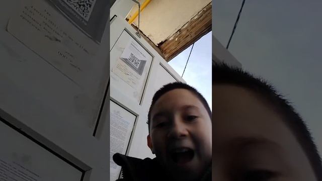 пестон смотреть онлайн