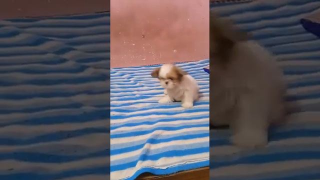 #god смотреть онлайн