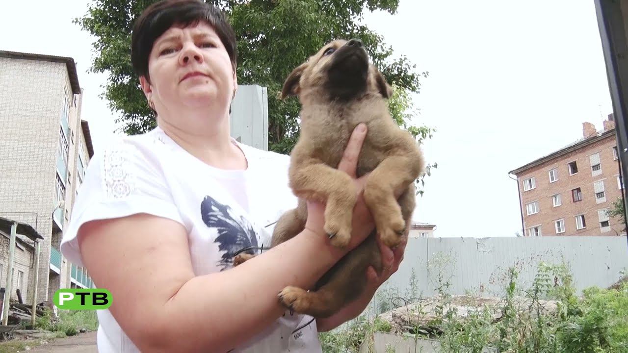 Возвращение домой смотреть онлайн