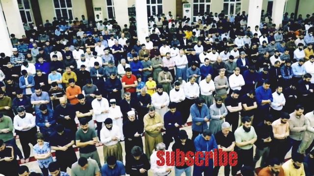 Мухаммад Ал Курди суратул-Маидах Маша Алах (Muhammab Al Kurdi Suratul-Maidah) Masha Alloh