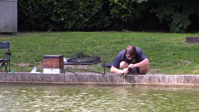 test canon legria HF G40 смотреть онлайн