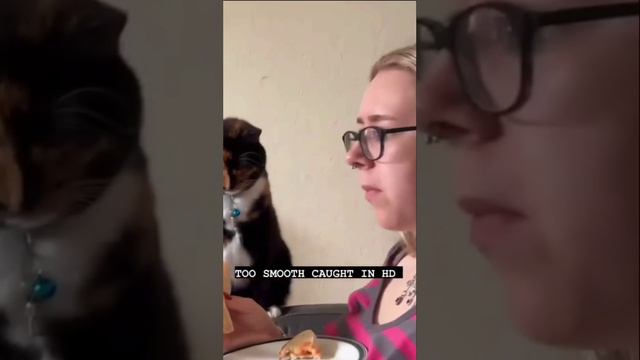 Красиво смотреть онлайн