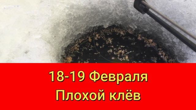 Прогноз клева рыбы на эту неделю с 15 по 28 Февраля Календарь рыбака на Февраль Прогноз клева рыбы смотреть онлайн