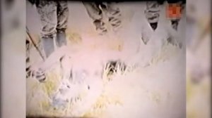 5 ОБОРОТНЕЙ СНЯТЫХ НА КАМЕРУ!!