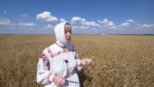 Вяскоўцы: обряд Зажинки смотреть онлайн