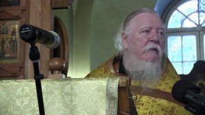 Глаза есть зеркало души человека. Протоиерей Дмитрий Смирнов