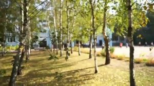 Мы - современная школа, Школа 1356!