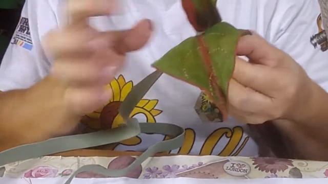 Aula passo a passo como fazer uma linda fícus elástica ruby em EVA смотреть онлайн