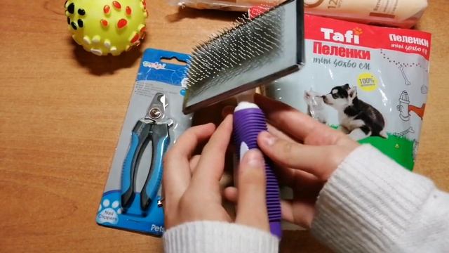 Что нужно для появления щенка в доме?//Это важно ❤️ смотреть онлайн