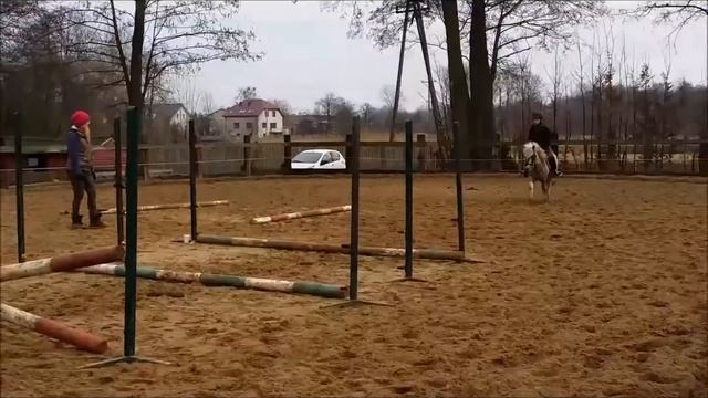 Akcja Zdrowo i Sportowo - aktywność ruchowa na co dzień смотреть онлайн