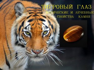 Тигровый глаз камень свойства/Камни обереги от сглаза и порчи