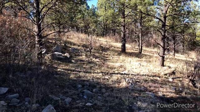 Road Sheds And More Elk Sheds 4/2/22 смотреть онлайн