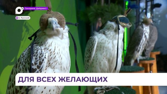 «Улицу Дальнего Востока» откроют для всех жителей и гостей Владивостока