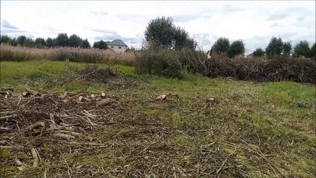 Купили участок ИЖС: вырубка деревьев завершена! смотреть онлайн