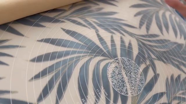 Любимцы на Камеру