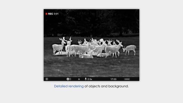 Pulsar Telos LRF XP50 | Field Test | By Phil Taylor