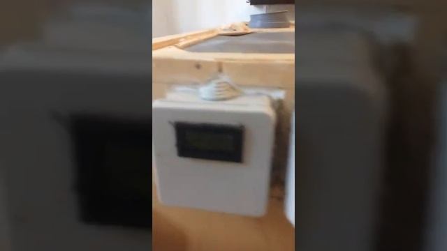 Молярий для разведения ОГНЕВКИ (восковой моли) Симонов Сергей (Смоленская обл., Рослаальский район смотреть онлайн