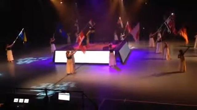 Национальные флаги стран - участниц турнира Lundaspelen 201 смотреть онлайн