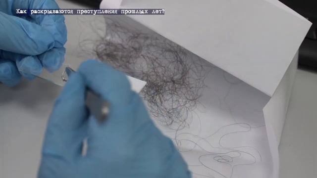 Расследованию подлежат. Дело № 7 «Геном как улика» смотреть онлайн