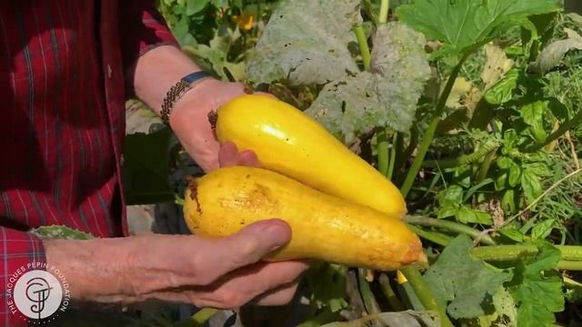 Jacques Pépin's Home Garden | Jacques Pépin Cooking At Home | KQED