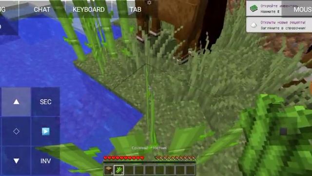 Minecraft ДЖАВА ПЕ НА ТЕЛЕФОН ИГРАЮ В ОДИН ЧАНК! смотреть онлайн