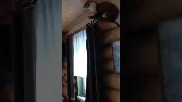 Не место красит человека-1 смотреть онлайн