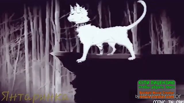 Коты воители - Бич клип мой демон на русском. смотреть онлайн