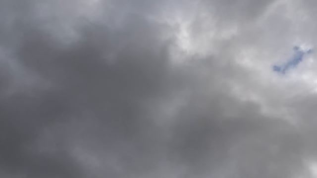 ОТПРАВЛЯЕМ ГОЛУБЕЙ В ПОДАРОК мальчику 13 лет на новый год 2020г смотреть онлайн