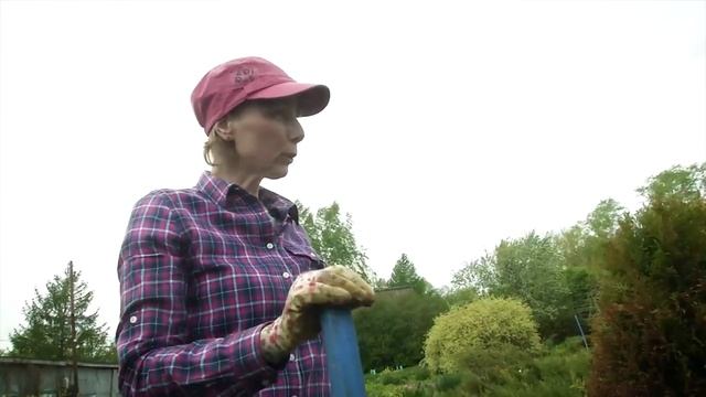 «Удача на даче» Выпуск 9 Хвойные смотреть онлайн