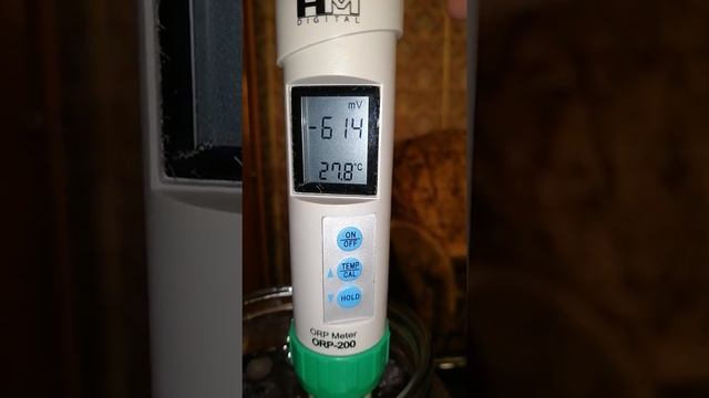 Изюм Чёрный - Живой компот. смотреть онлайн